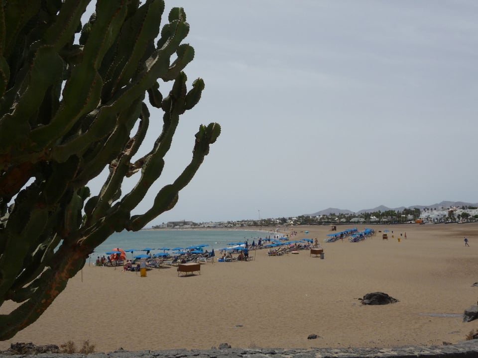 Strand Hotel Floresta