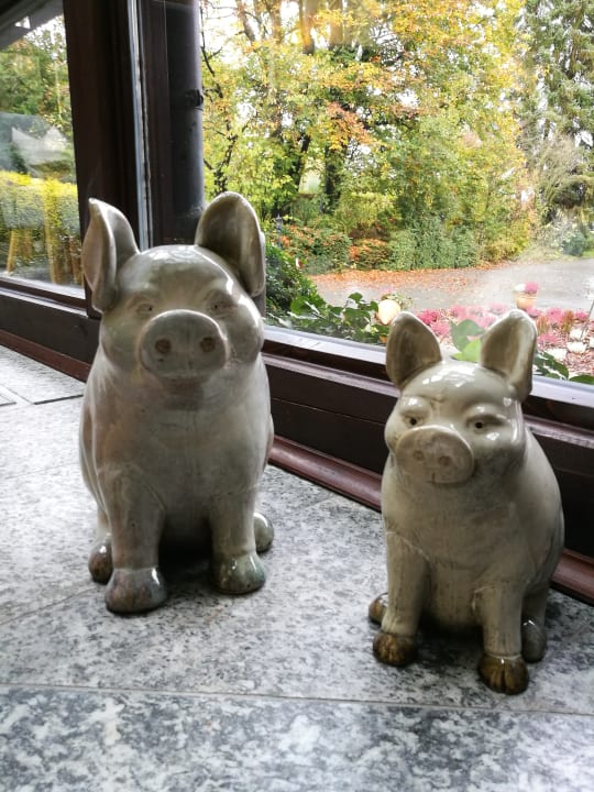 Lobby Landhotel Der Schwallenhof