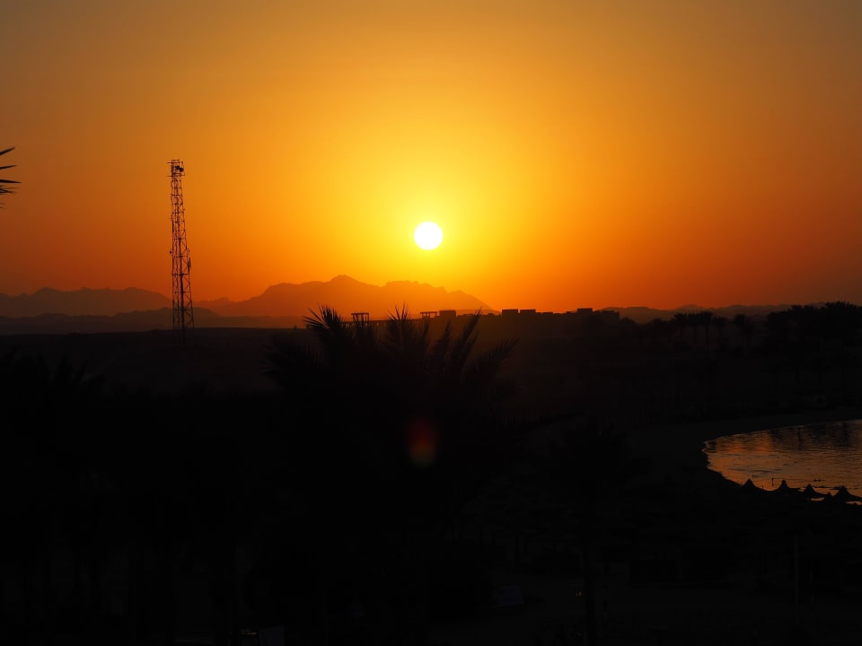 Coraya Bay Jaz Solaya