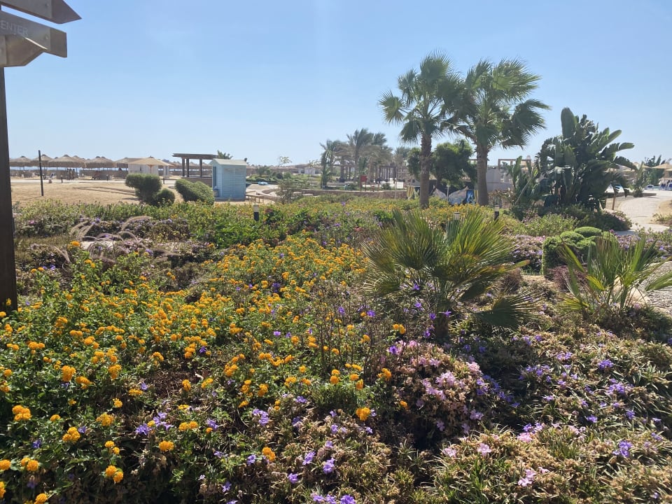 Gartenanlage Lazuli Hotel Marsa Alam