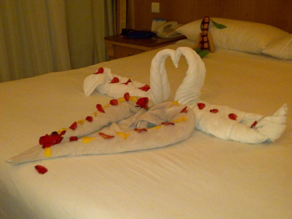 Результат полотенцекрутильщика Pickalbatros Dana Beach Resort - Hurghada