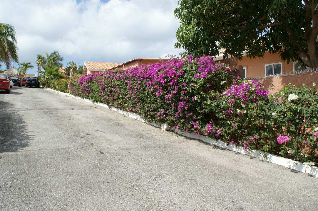 Außenansicht Curinjo Apartments