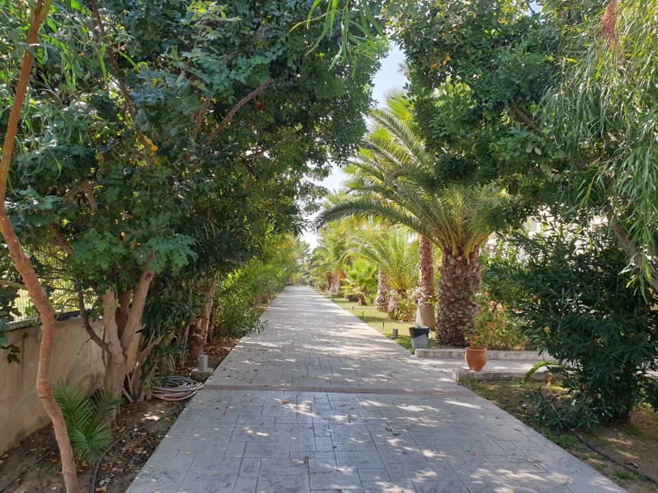 Gartenanlage Hotel Tigaki Beach