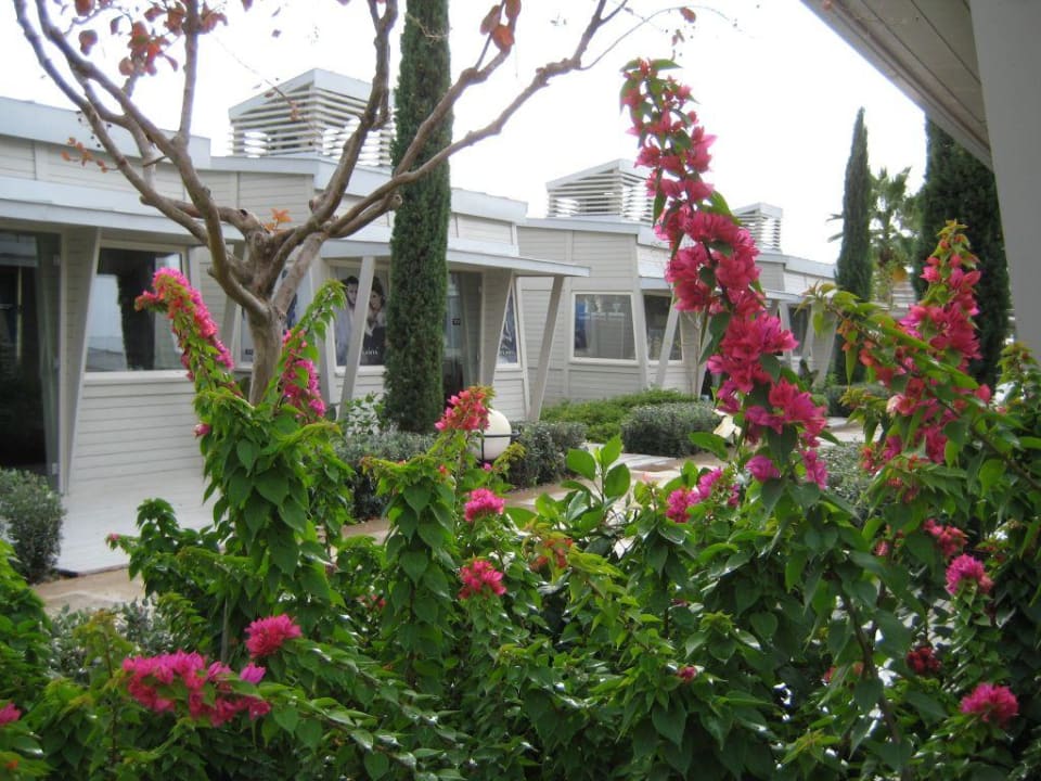 Gartenanlage mit Mini-Shops Susesi Luxury Resort
