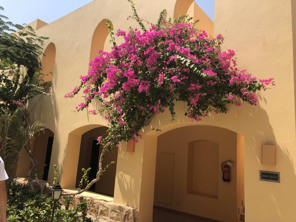 Garten Steigenberger Coraya Beach - Adults only