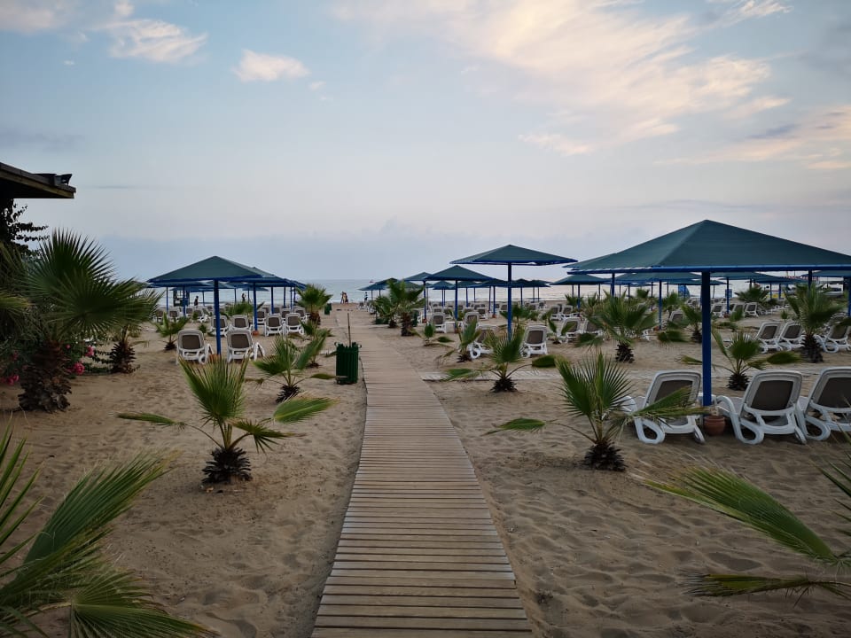 Strand Paloma Oceana