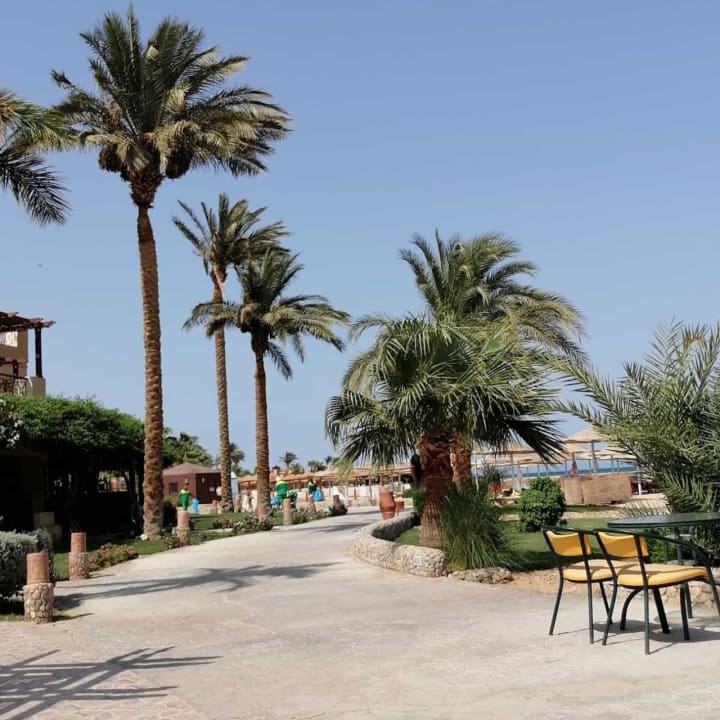 Gastro Imperial Shams Abu Soma