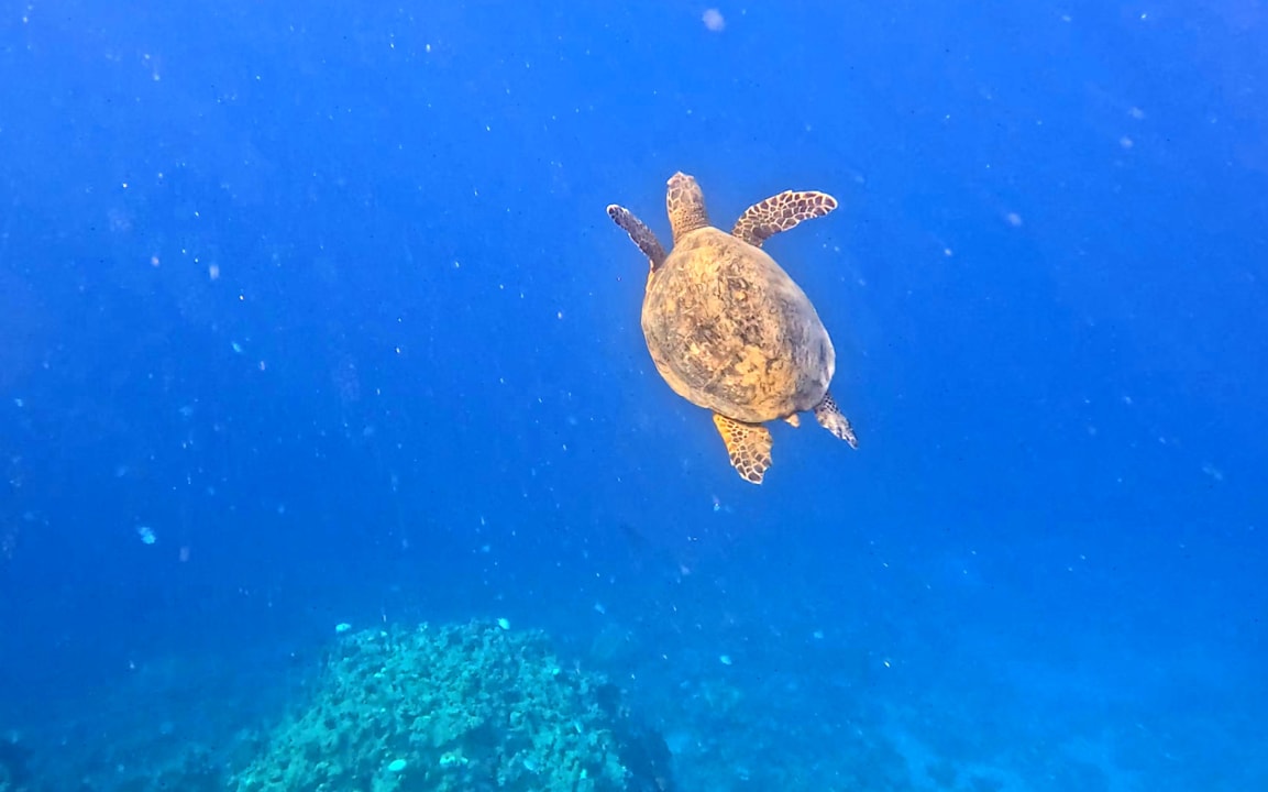 Strand Makadi Spa - Adults only