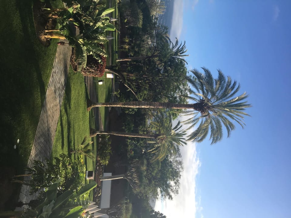 Gartenanlage TRH Taoro Garden