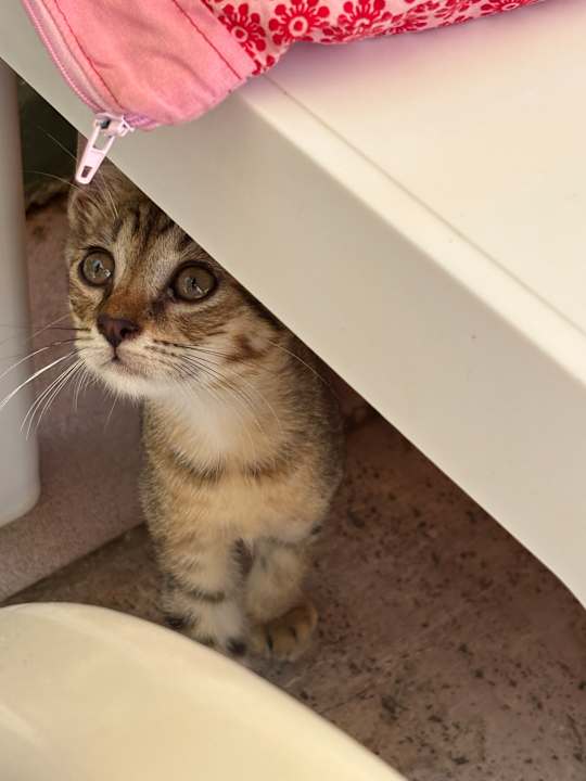 Zimmer Hotel Botanik Platinum