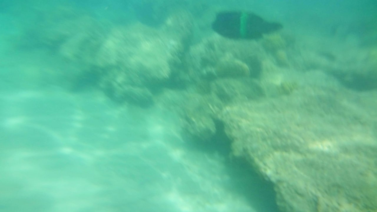 Риф недалеко от берега Desert Rose