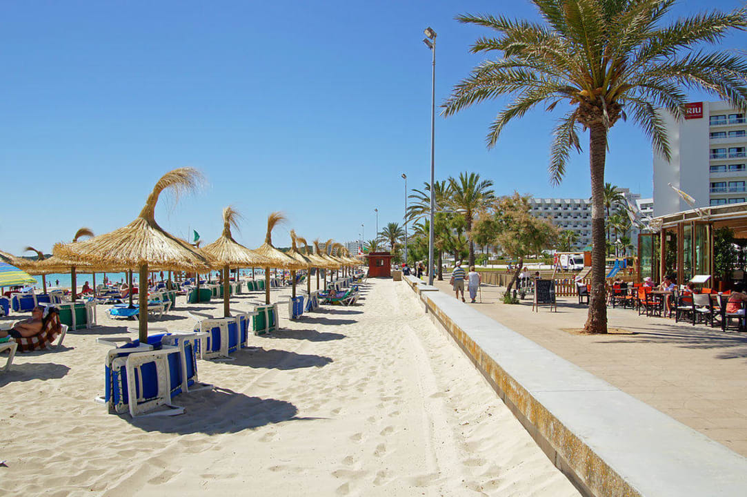 Hotel - Lage Protur Playa Cala Millor Hotel