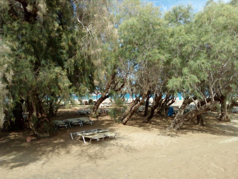 Strand Apollonia Beach Resort & Spa