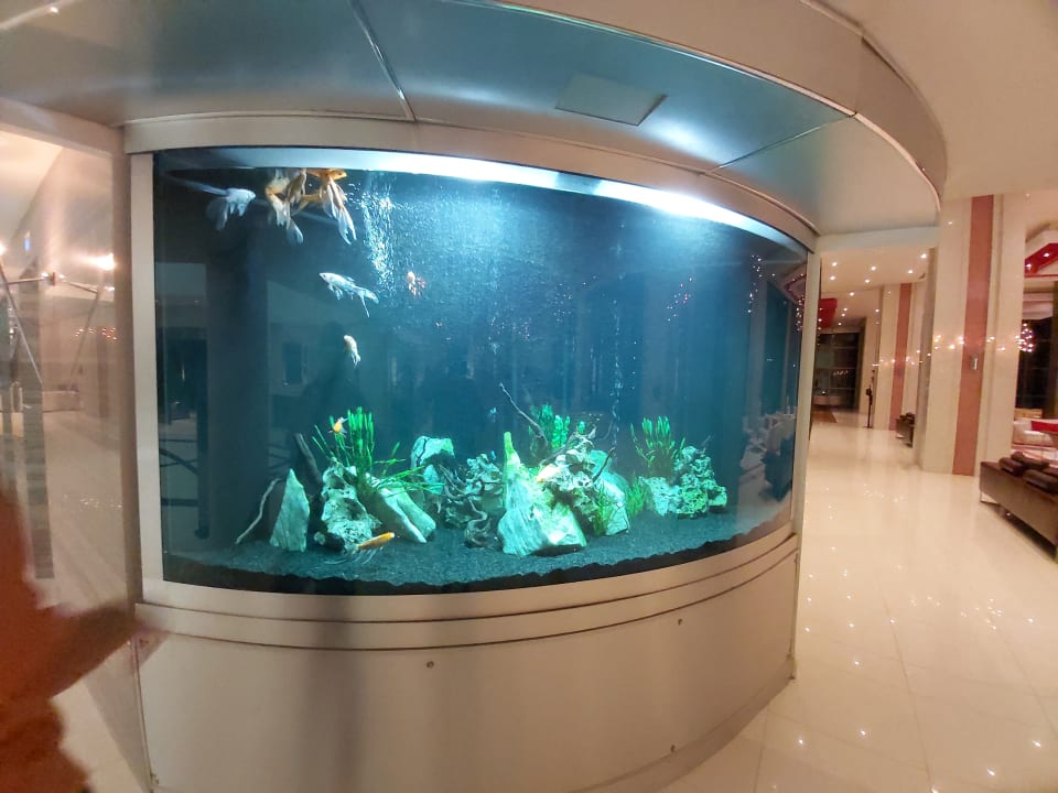 Sonstiges Elysium Resort & Spa Hotel