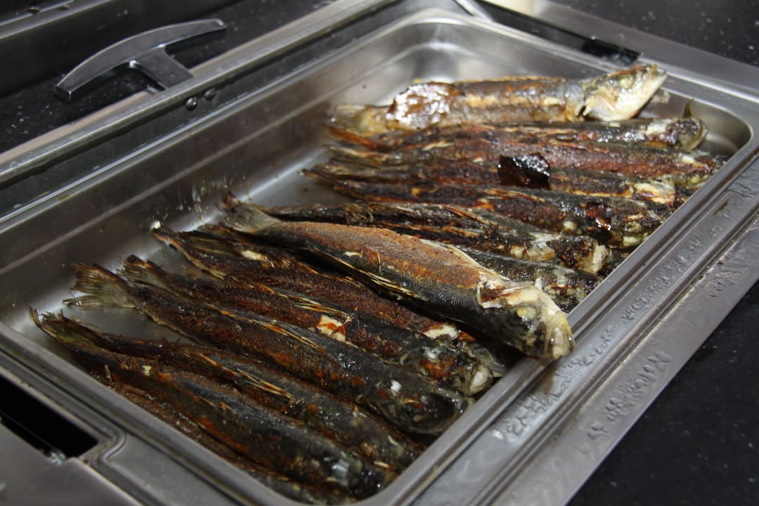 Abendbuffet PALOMA Perissia