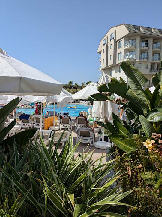 Pool Hotel Novum Garden Side