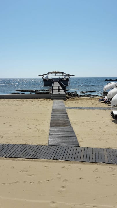 Steg Arkin Palm Beach Hotel