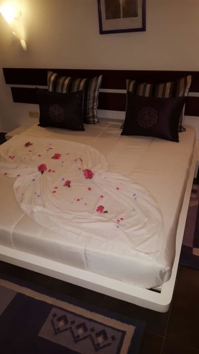 Lit Caribbean World Thalasso Djerba