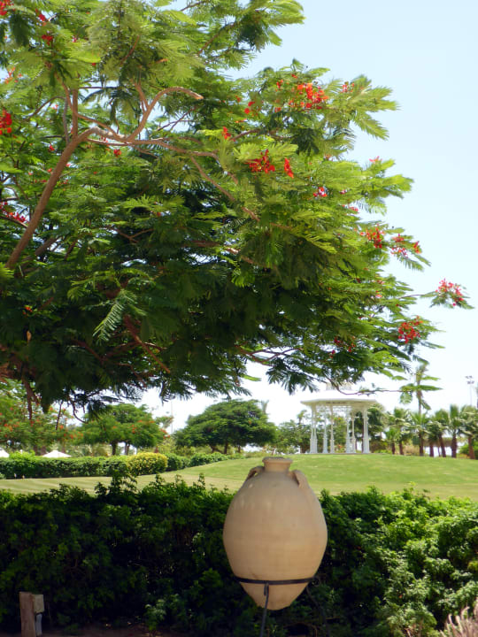 Gartenanlage Steigenberger ALDAU Beach Hotel