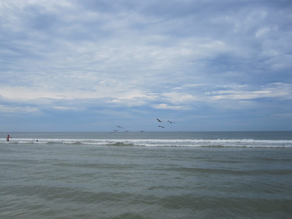 Golf von mexico Wyndham Garden Hotel Fort Myers Beach