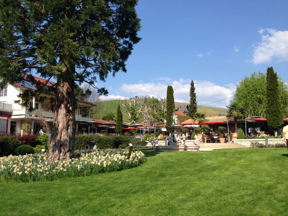 Gartenanlage Hotel Restaurant Rebstock Durbach