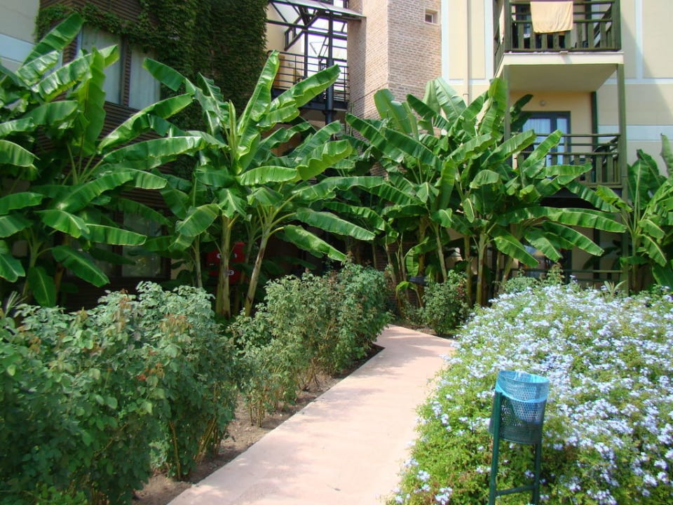 Сад Limak Limra Hotel & Resort