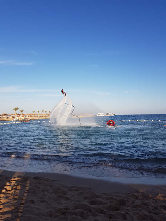 Animation war auch immer geboten! Beach Albatros Resort