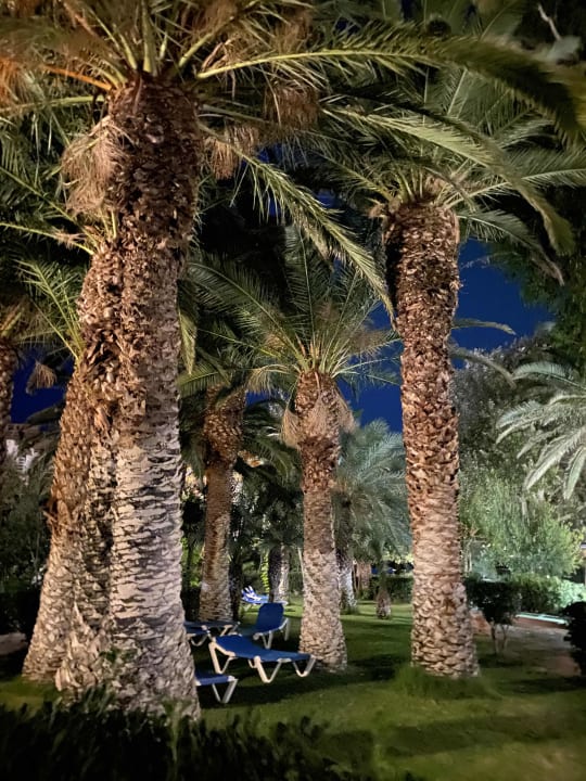 Gartenanlage Apollonia Beach Resort & Spa