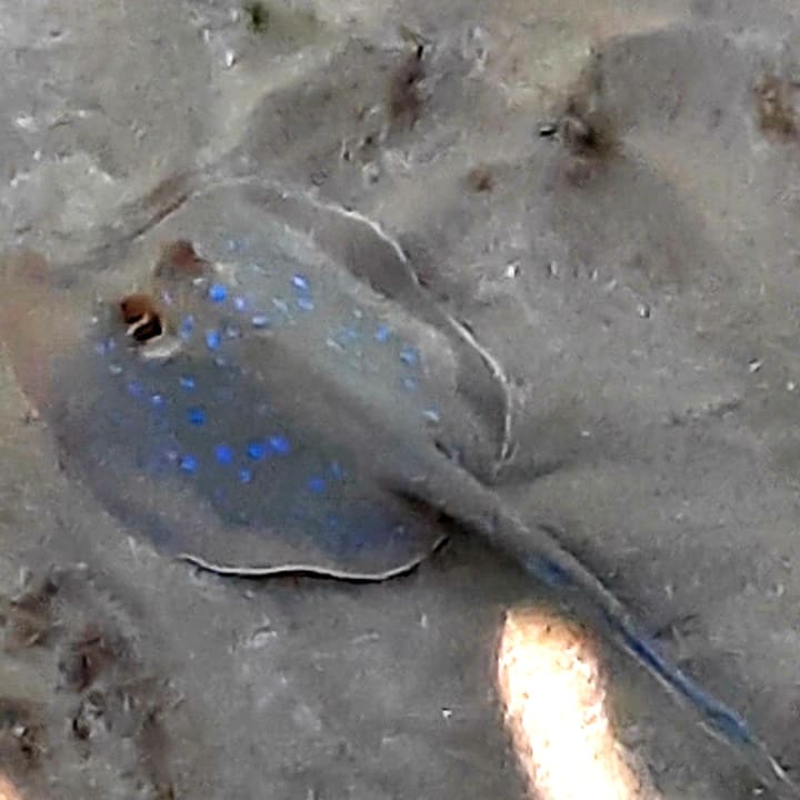 Strand Grand Waterworld Makadi