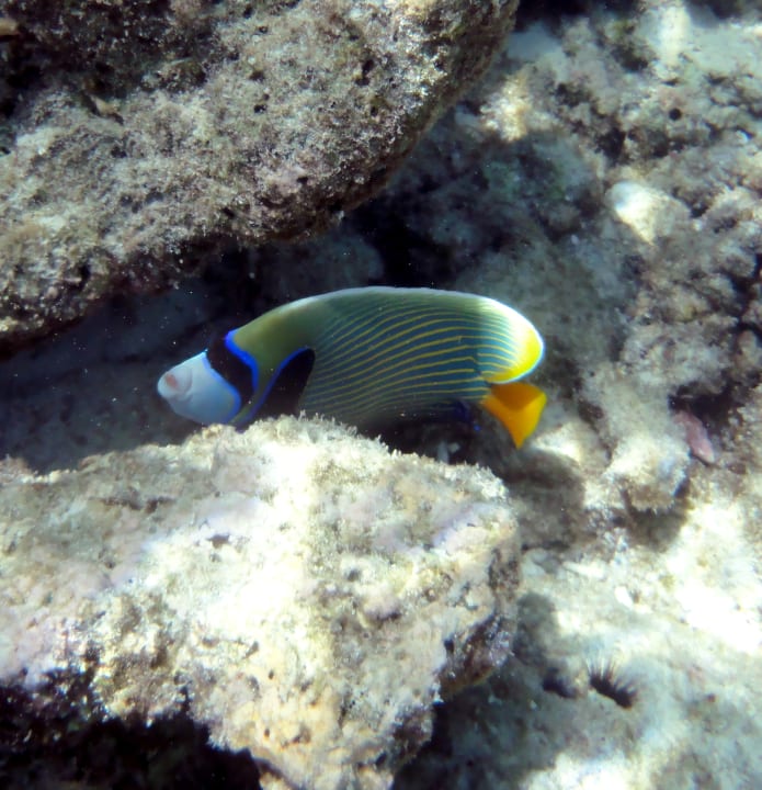 Sport & Freizeit Embudu Village