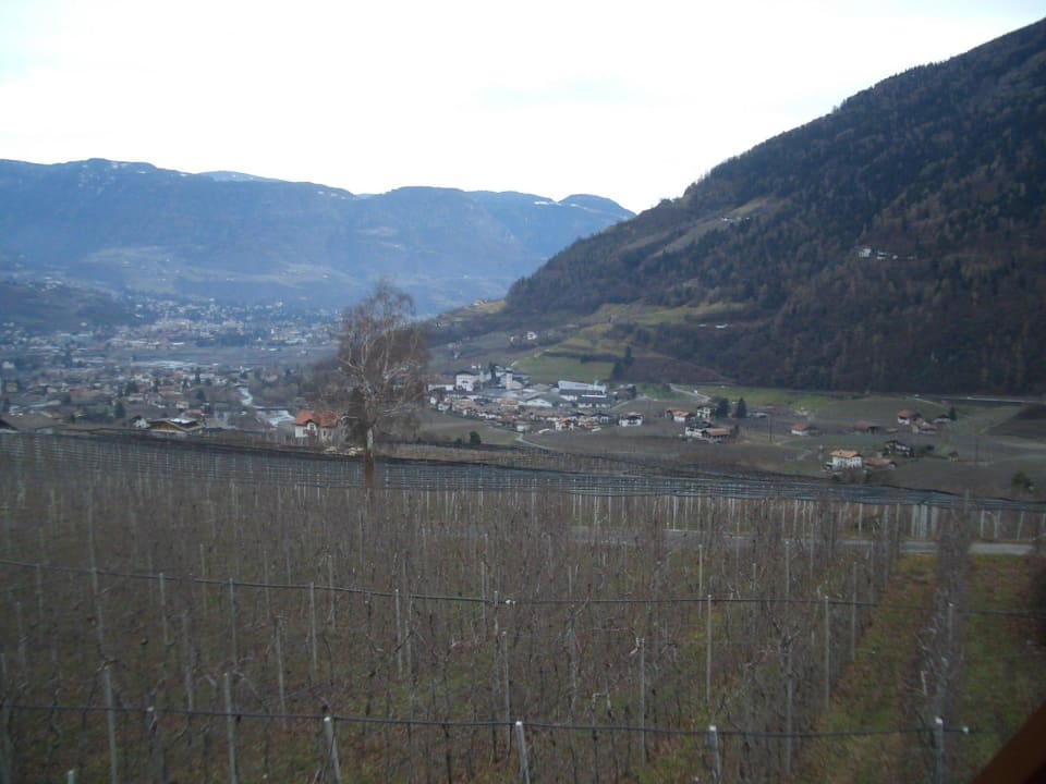 Blick Pension Plarserhof