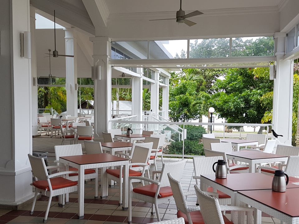 Gastro Hotel Riu Negril