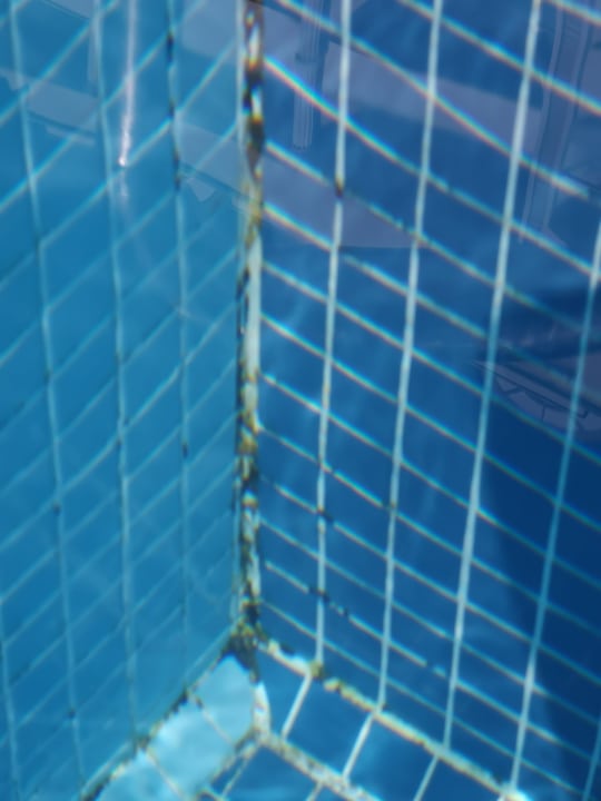 Pool Mary Hotel Side