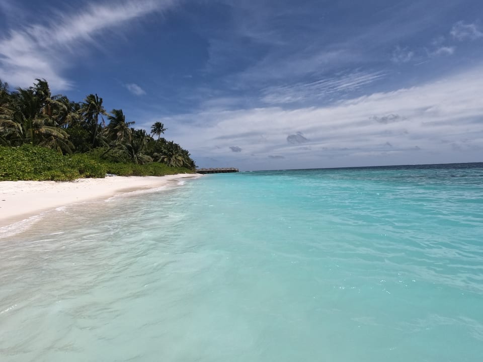 Strand Fihalhohi Maldives