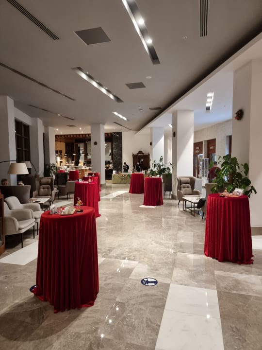 Gastro Acanthus Cennet Barut Collection