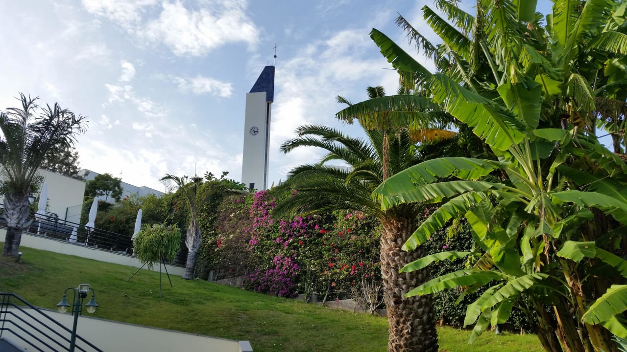 Garten, Weg zum Frühstück  Hotel Madeira Panoramico