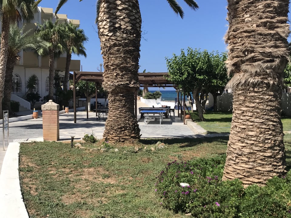 Außenansicht Hotel Aphrodite Beach Club