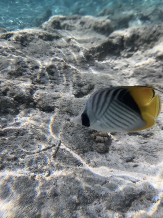 Sport & Freizeit Lazuli Hotel Marsa Alam