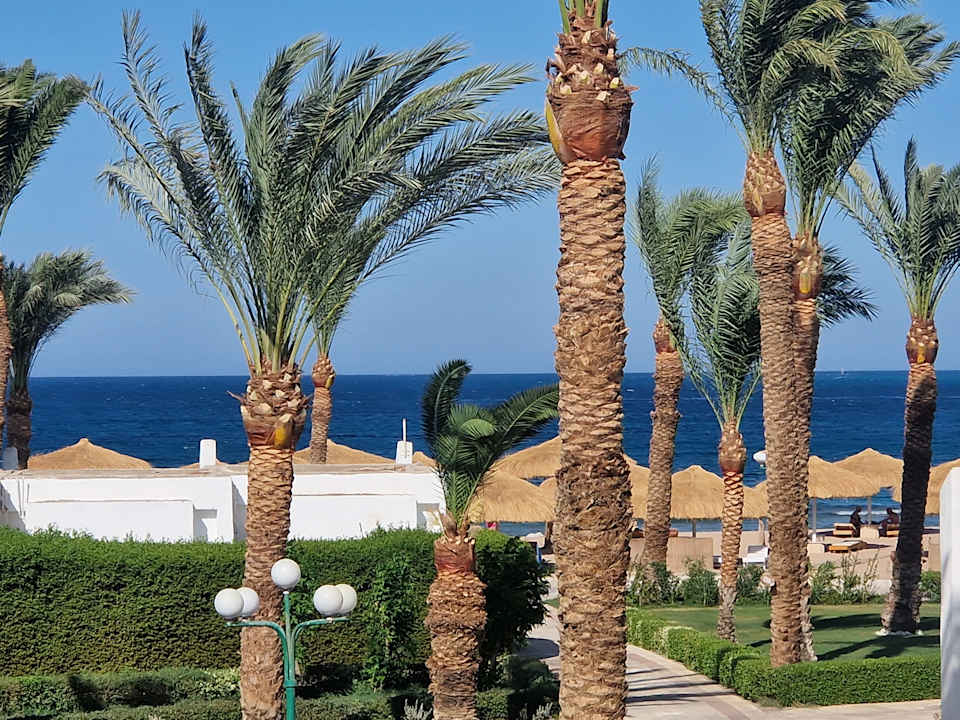 Außenansicht Menaville Safaga