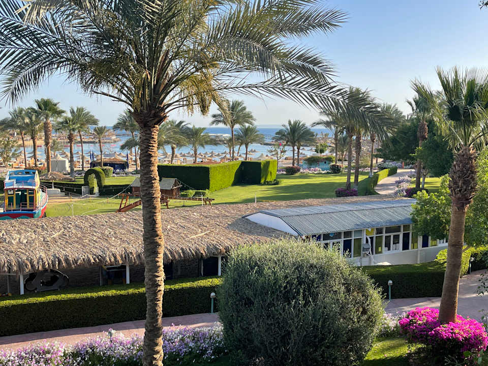 Gartenanlage Desert Rose