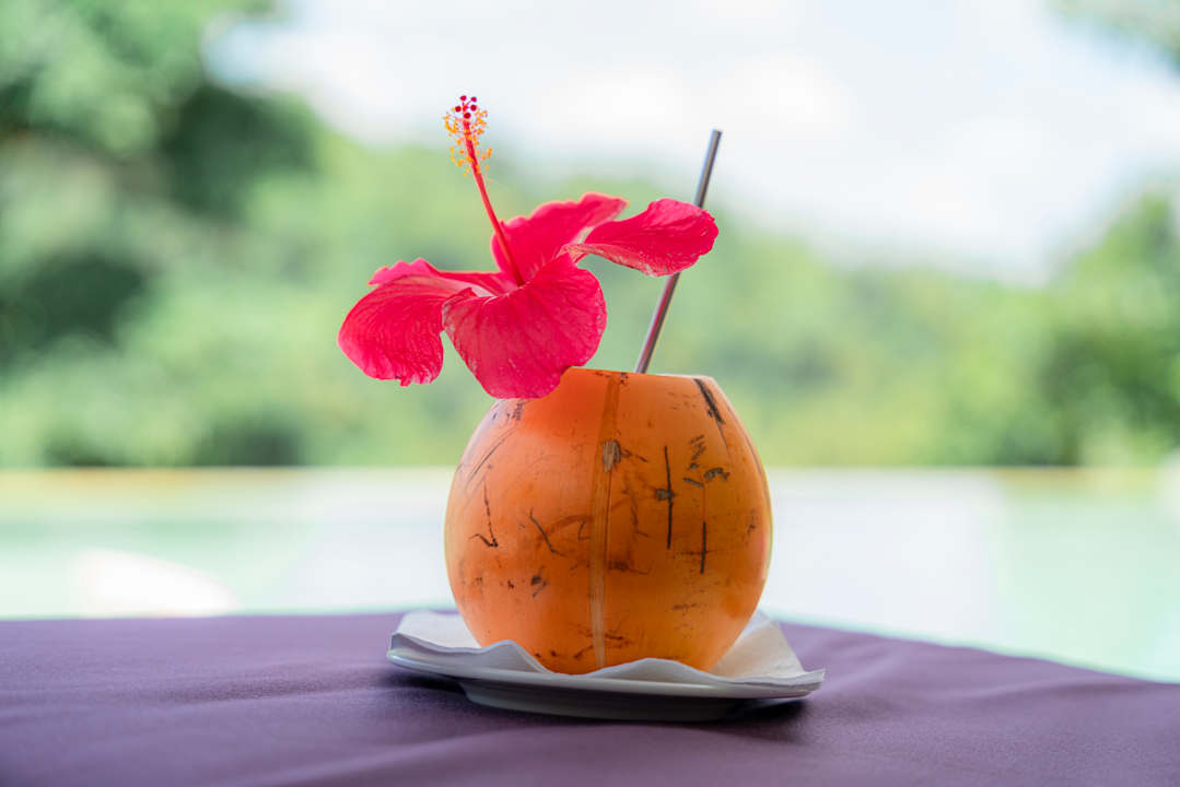 Gastro The Divine Villa