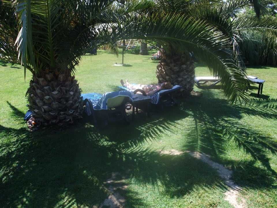Relaxen unter Palmen oder Strand Arcanus Hotels Sorgun