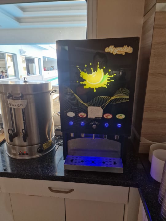 Gastro Hotel Catty Cats Garden