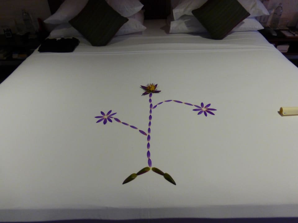 Jeden Tag ein anderes Motiv auf dem Bett Hotel Saman Villas