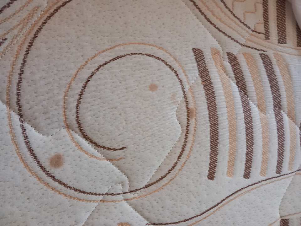 Zimmer El Karma Aqua Beach Resort