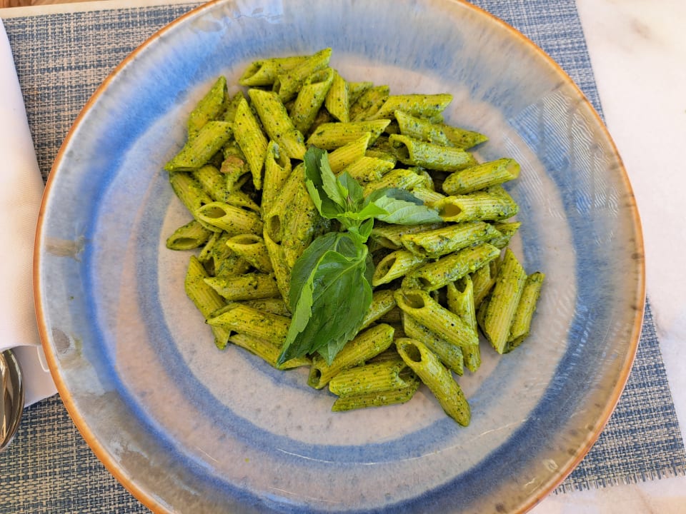 Gastro JAZ Elite Amara