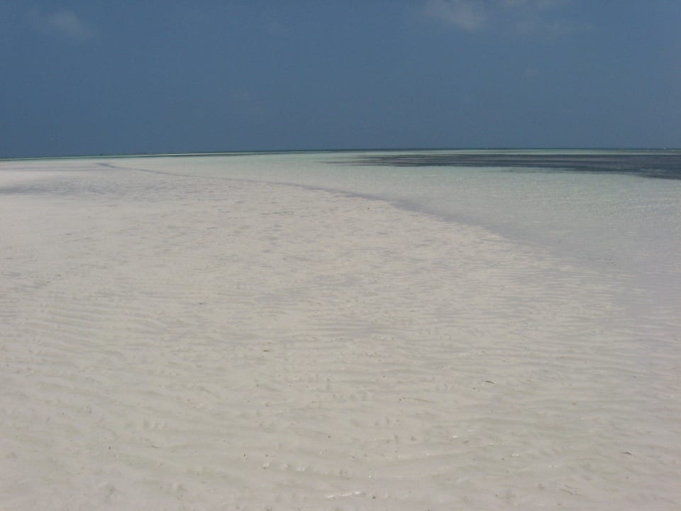 Sandbank bei Ebbe Jaz Adonia Beach Resort