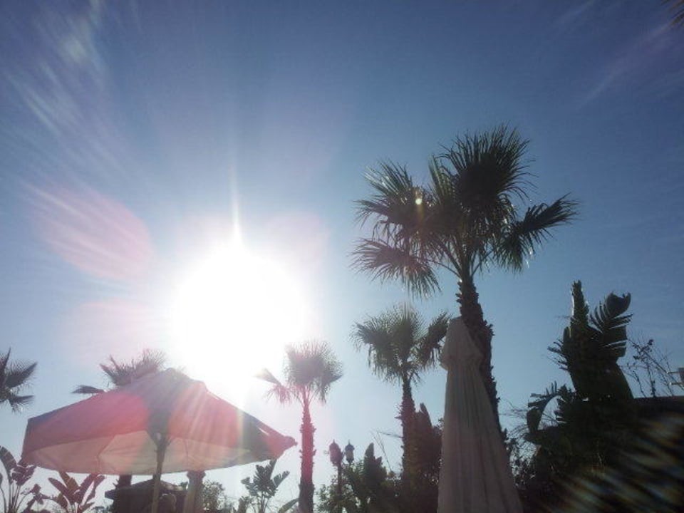 Von der Poolbar Diamond Excellence Resort & Spa