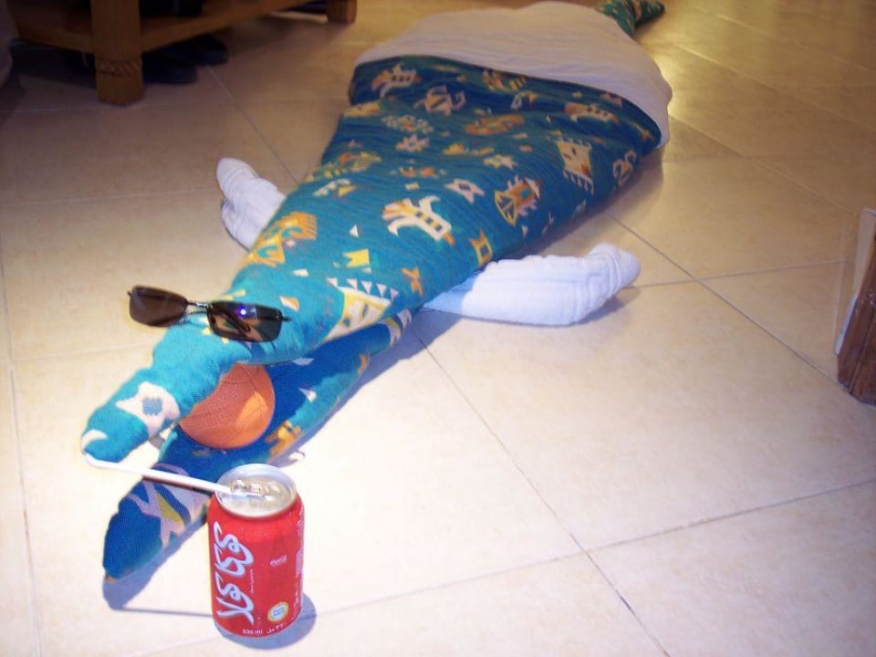 ein Krokodil von unserem Zimmerboy Abdullah Fort Arabesque Resort, Spa & Villas