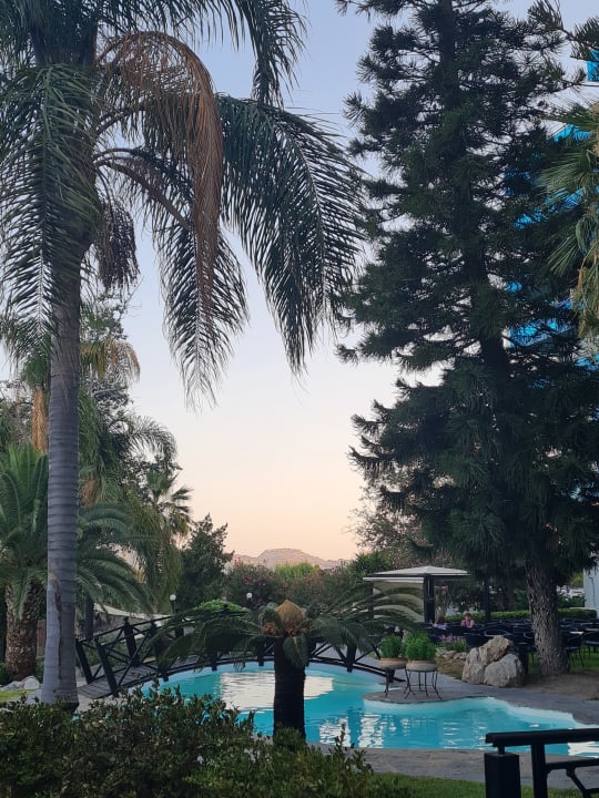 Gartenanlage Hotel Calypso Beach